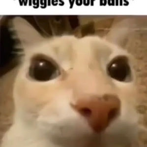 Meet your Posher, Jade